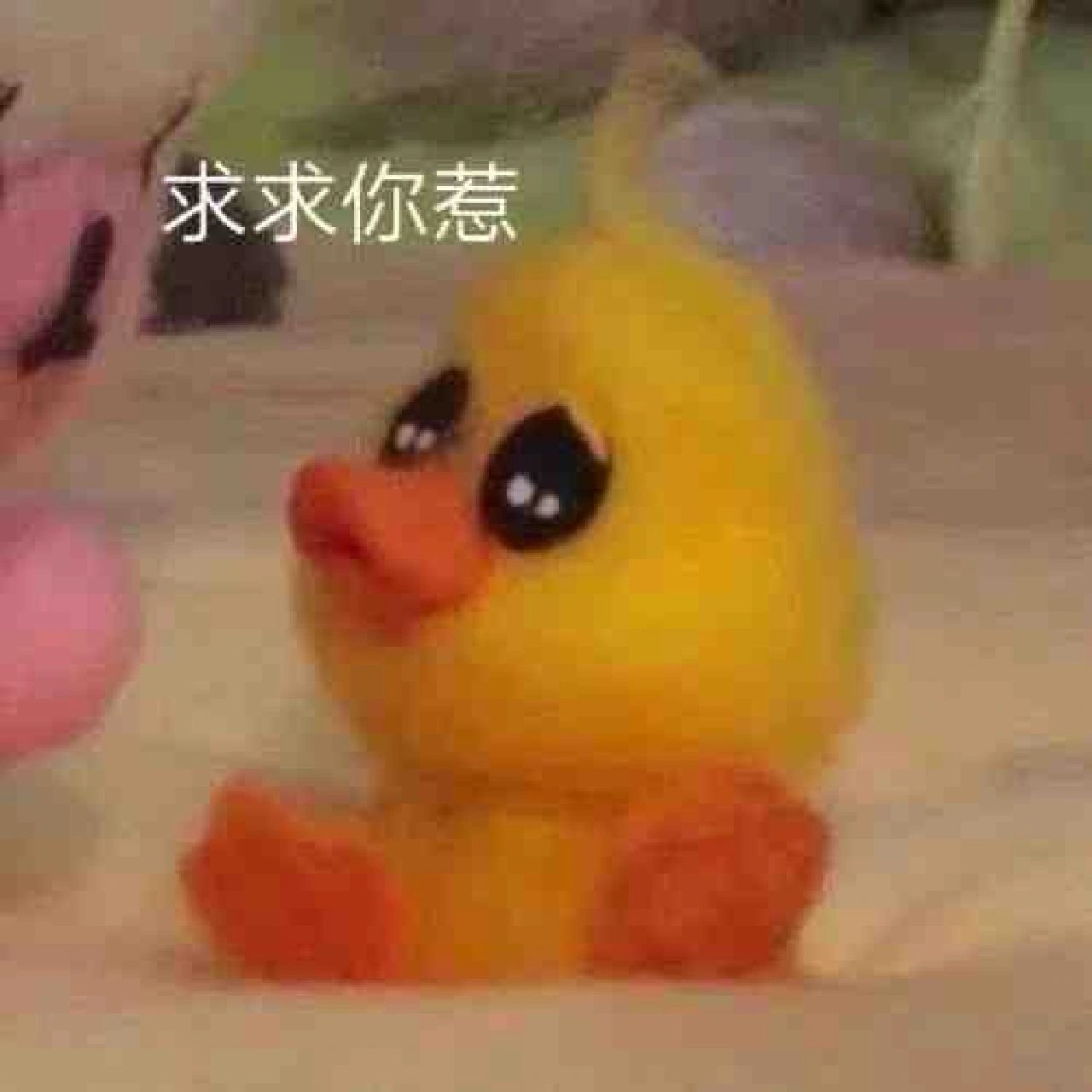 装修电钻噪音太吵了 我真的不明白为什么他们不在小区物业给的集中