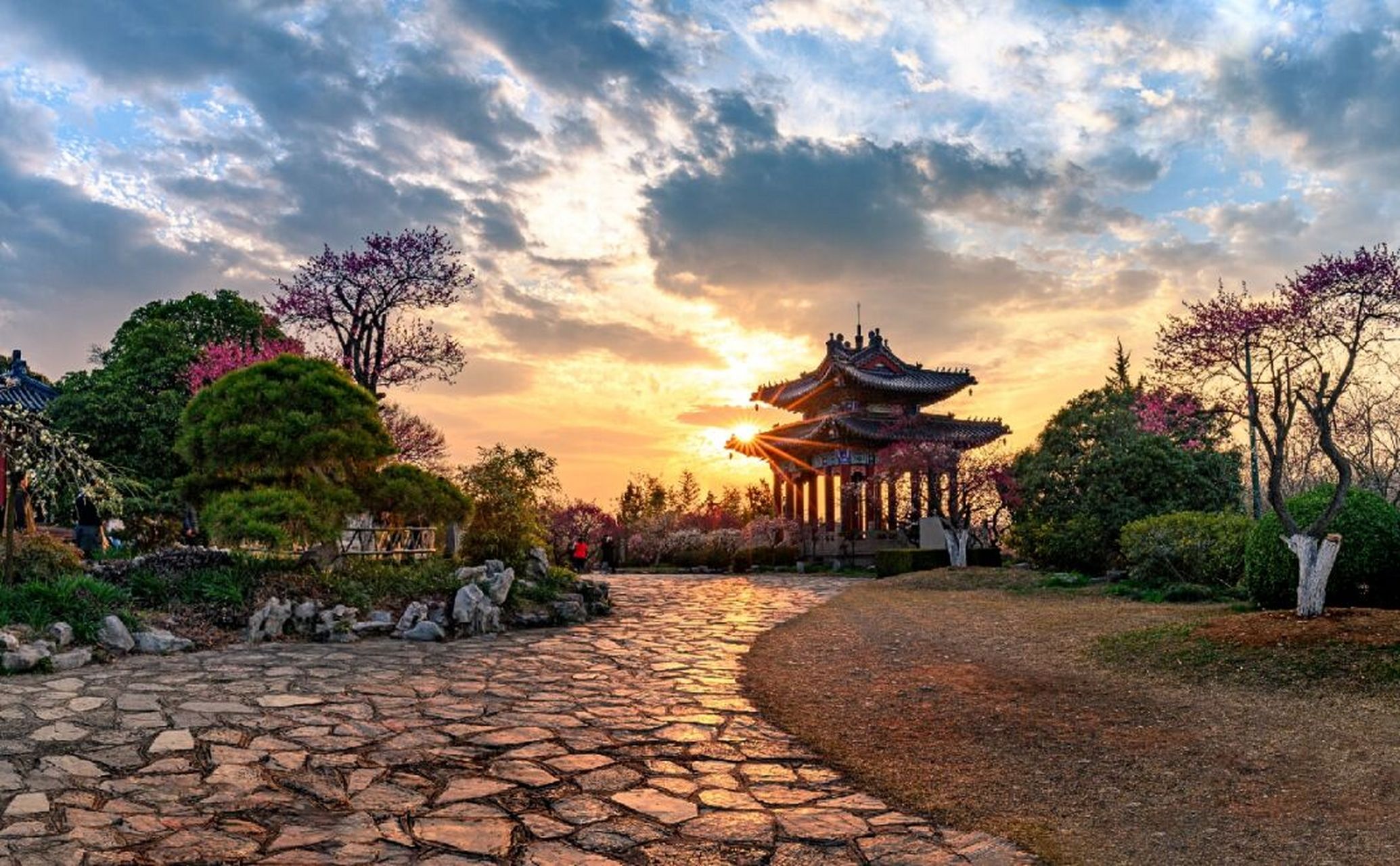 南京梅花山博爱阁丨挑战一张封神 没有一个南京的摄影爱好者会错过