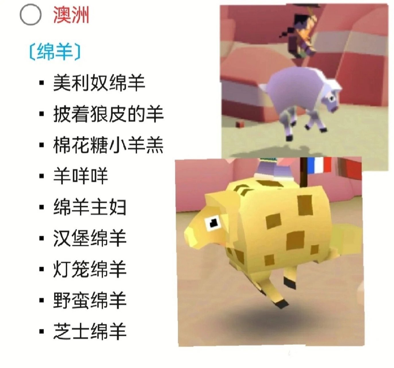 疯狂动物园(澳洲篇)所有动物总结 如有遗漏欢迎补充