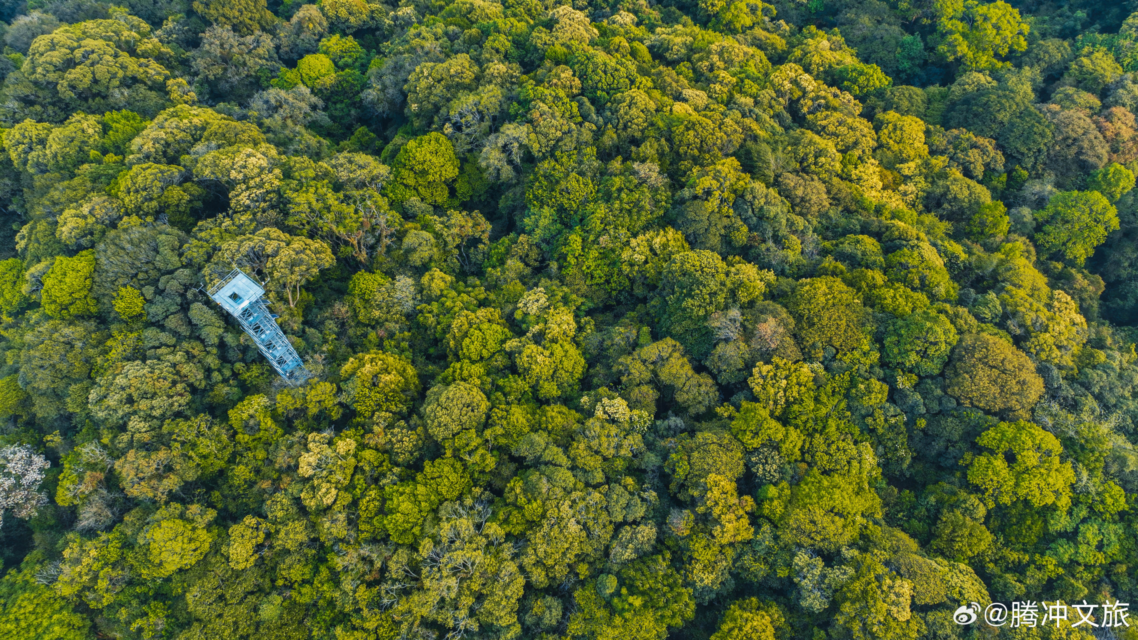 总要去趟腾冲吧# 雄壮的高黎贡山是披在腾越大地上的绿色绸缎,饱经