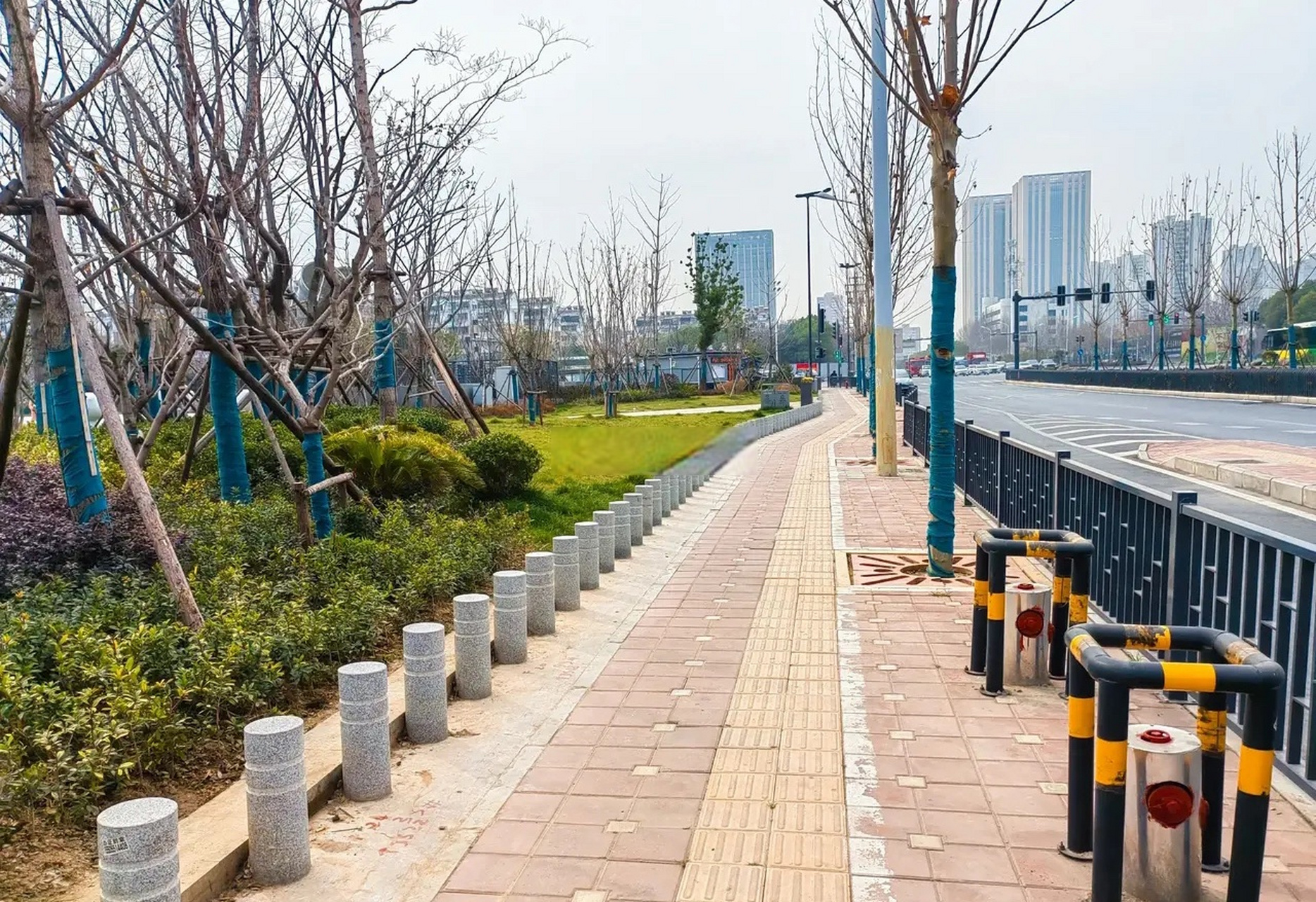 合肥瑶海区城市道路沿线的市容市貌,草坪绿化,整洁干净的程度,堪比政