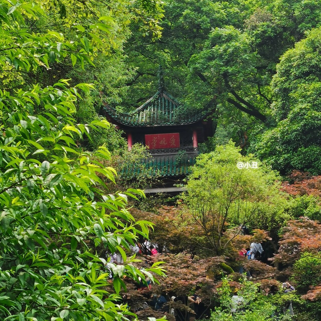 湖南岳麓山四大名亭图片