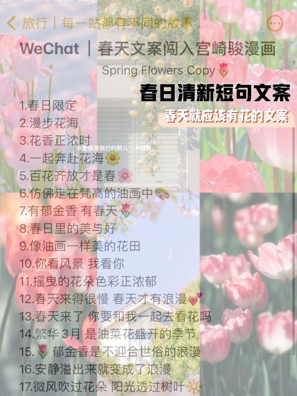 wechat|春天文案93仿佛闯入宫崎骏漫画91 spring flowers copy