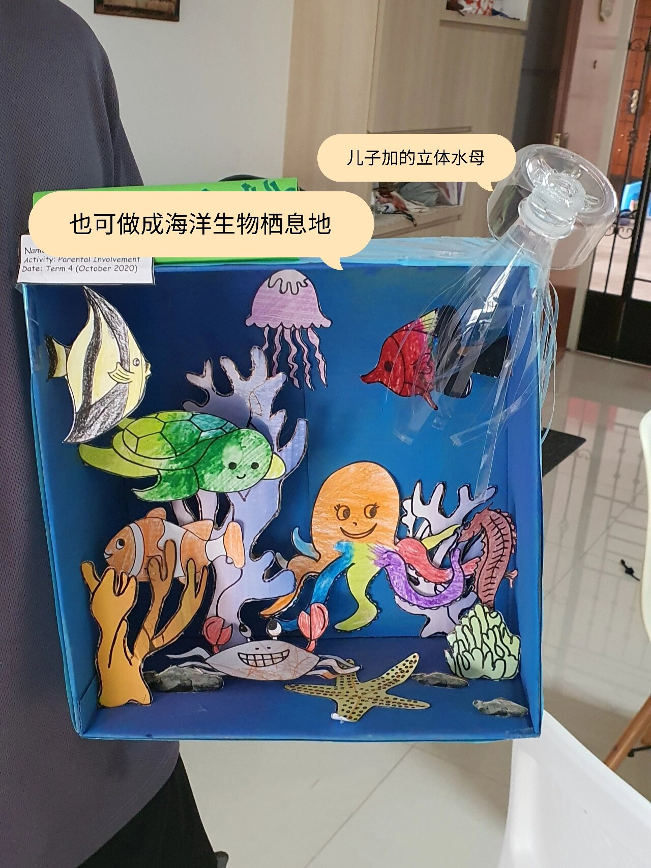 旧物利用| 亲子手工制作 | 鞋盒动物栖息地