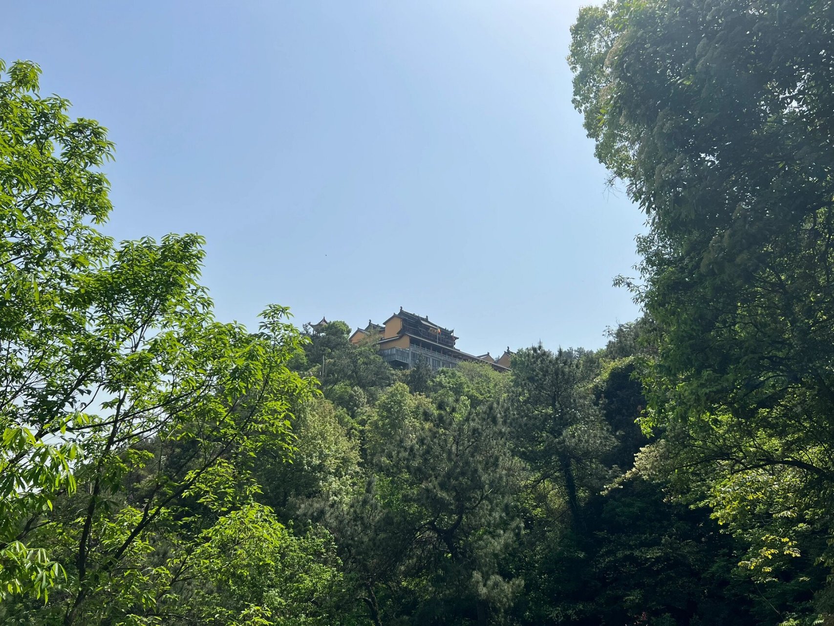 绍兴马鞍驼峰山 绍兴滨海第一高峰,海拔225米,爬起来走走停停大概50