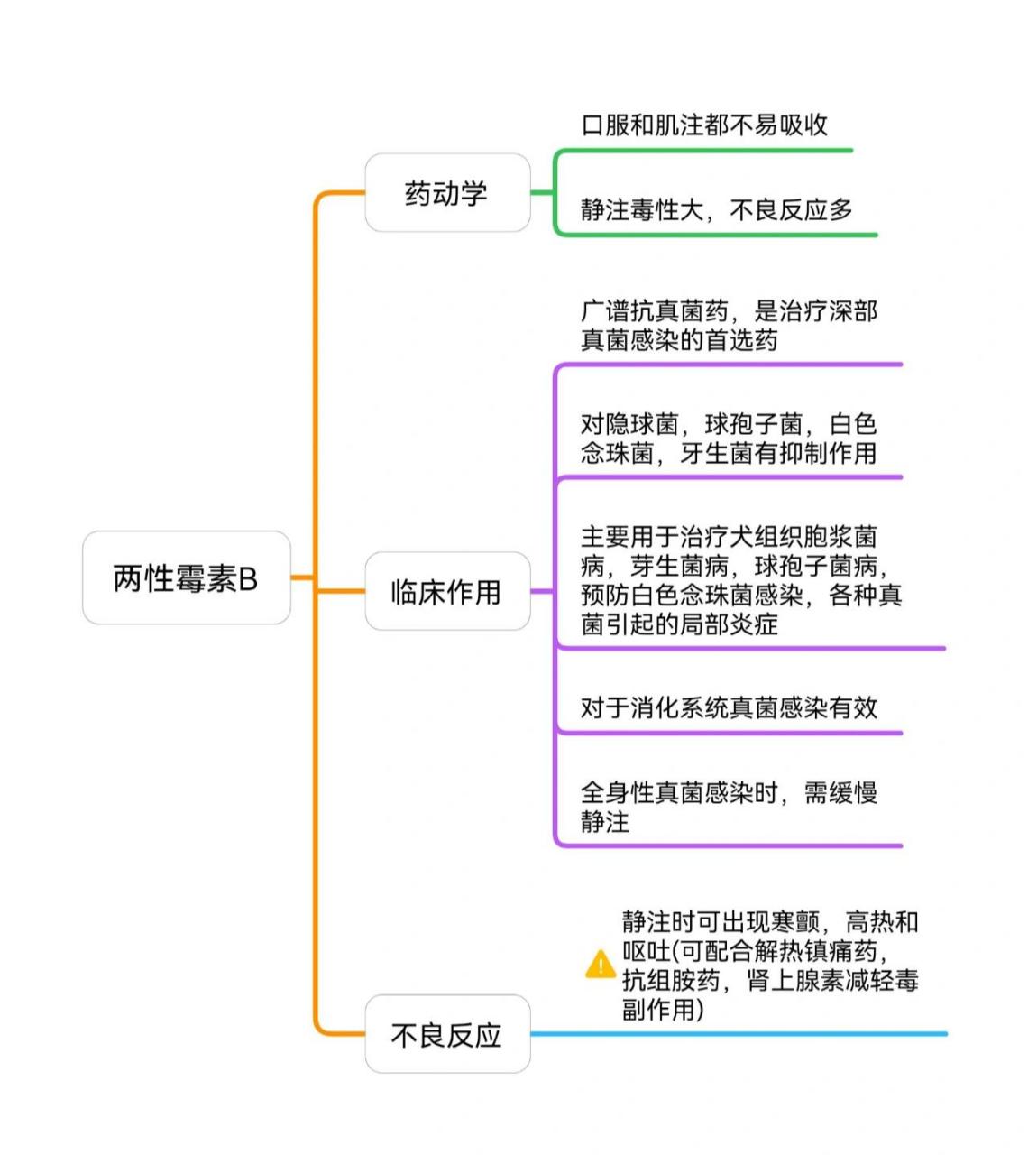 两性霉素B说明书图片