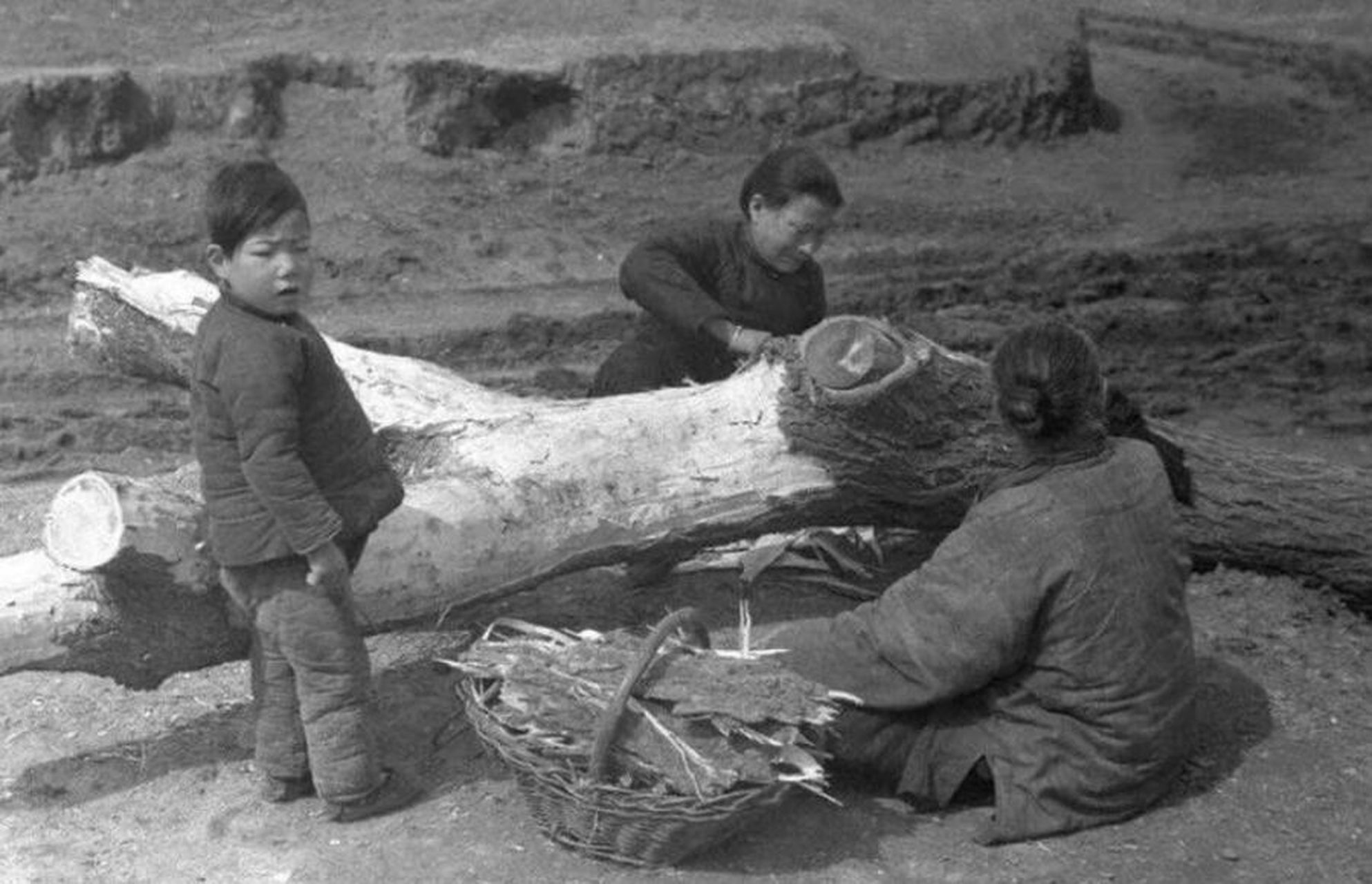 1942河南大饥荒张国立图片