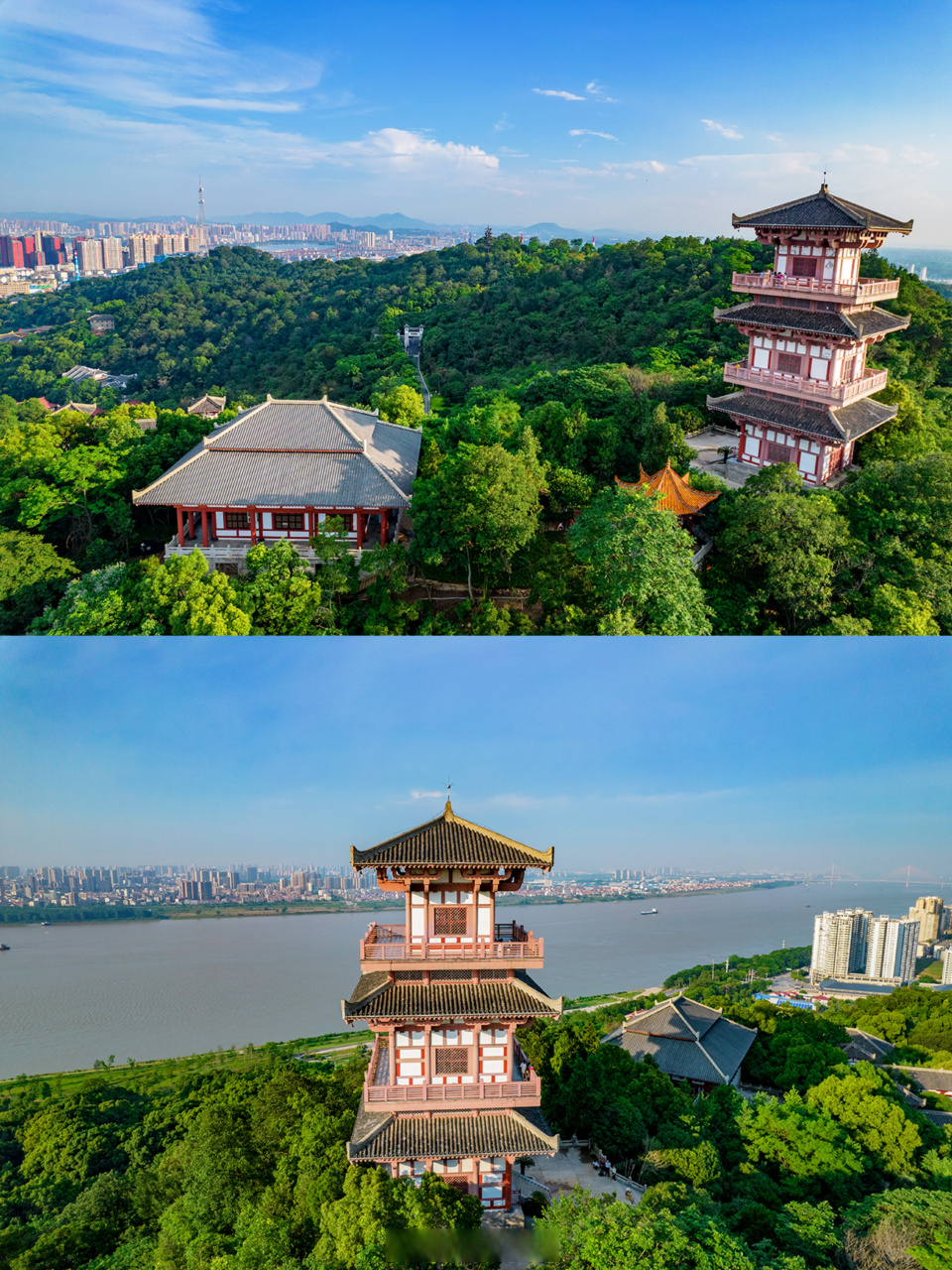 在西山上俯瞰鄂州真是太好看了91  山不高,爬起来毫不费力,万木葱茏