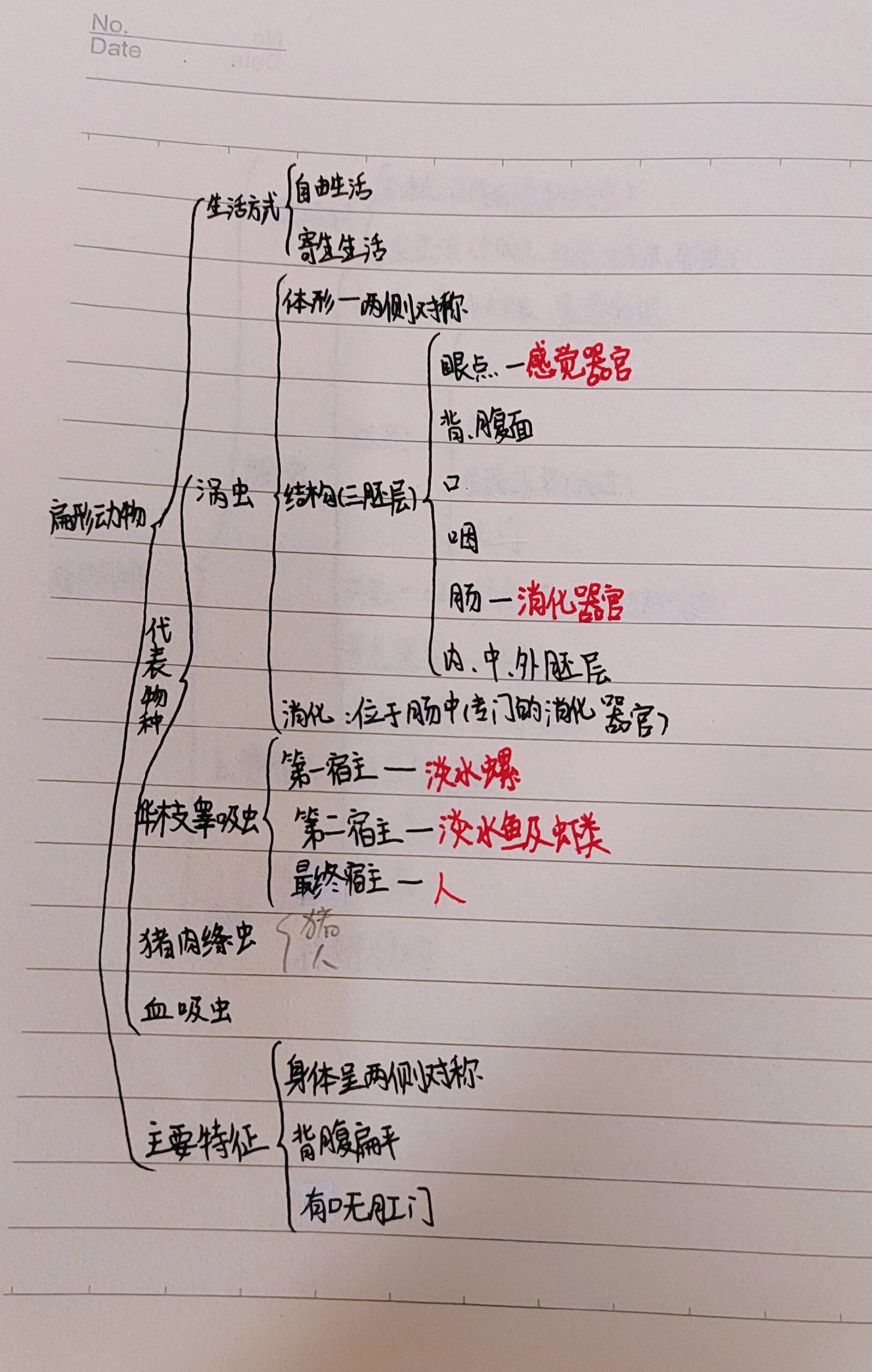 八年级上学期生物思维导图第一节