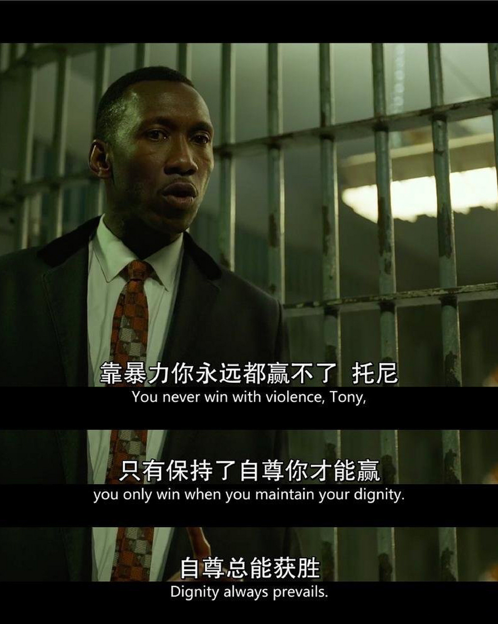 《绿皮书》观后感 没想到这么经典的电影我居然现在才看 在抖音被疯狂