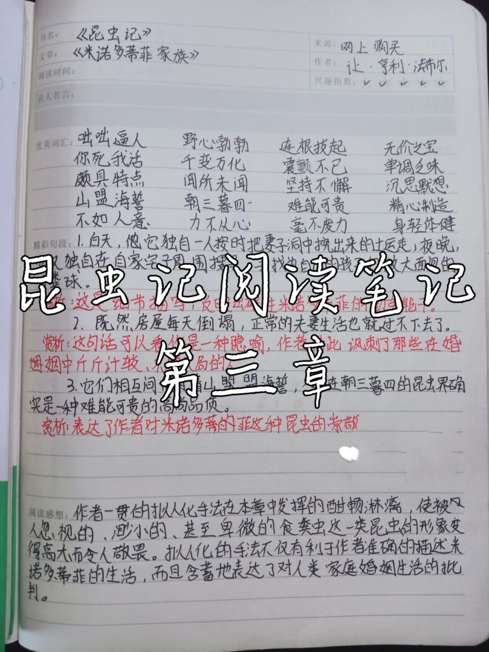 《昆虫记》阅读笔记第三章 《昆虫记》阅读笔记第三章