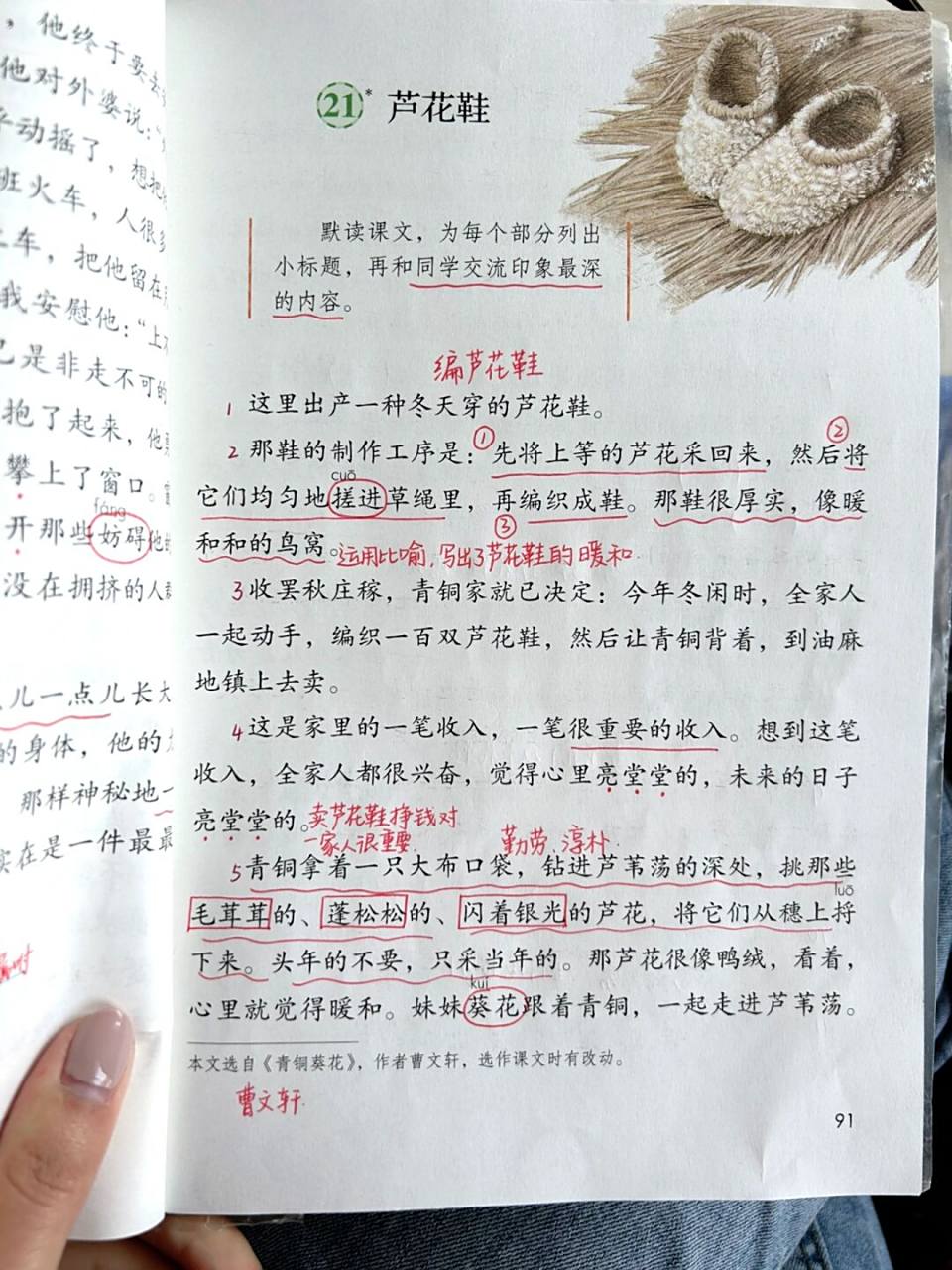 四下语文课堂笔记|第21课 芦花鞋 #语文笔记# #四年级语文# #小学语文