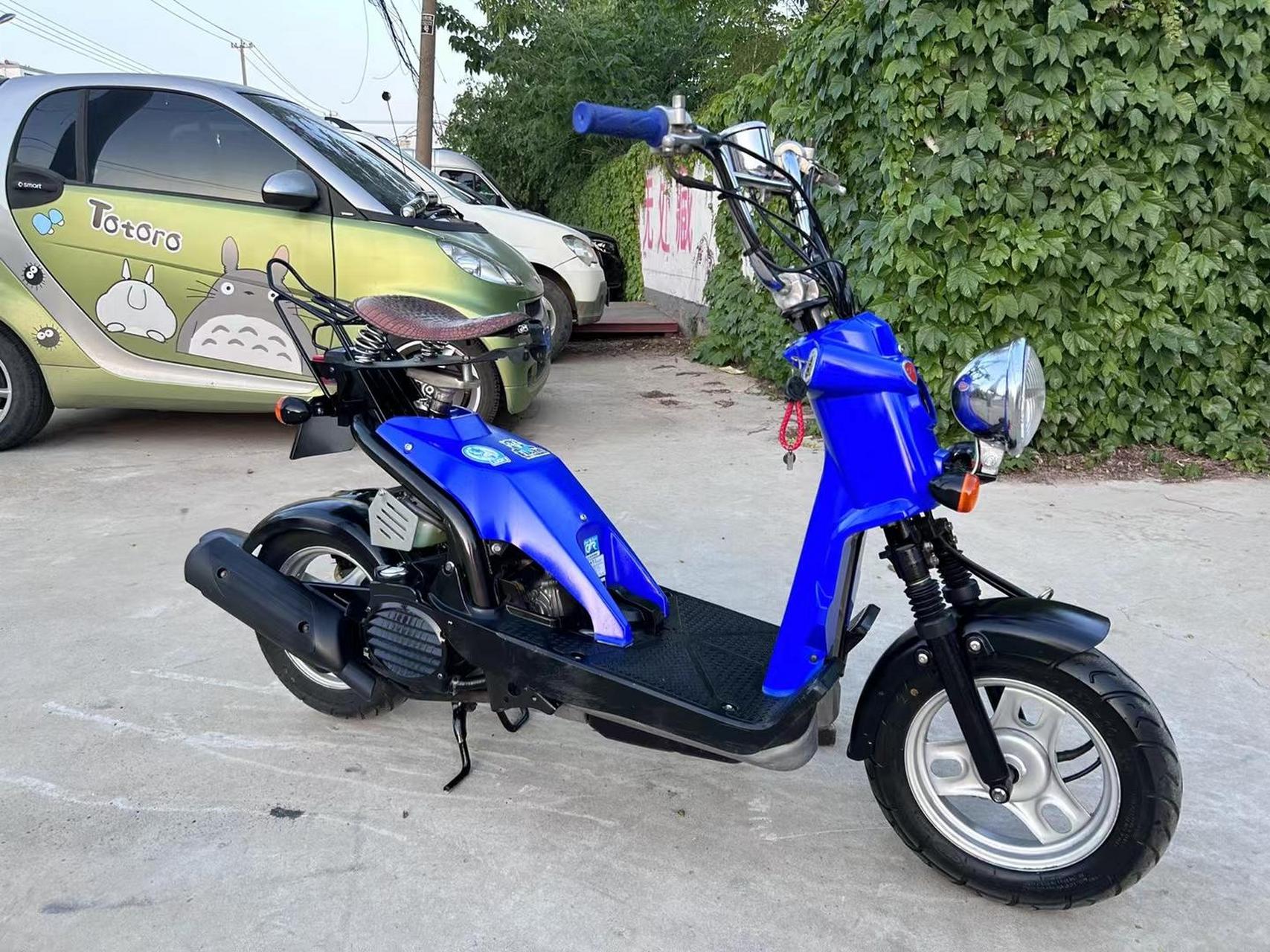 88009090名盘 本田小恐龙04收藏价值特高:日本bds直拍,毒物