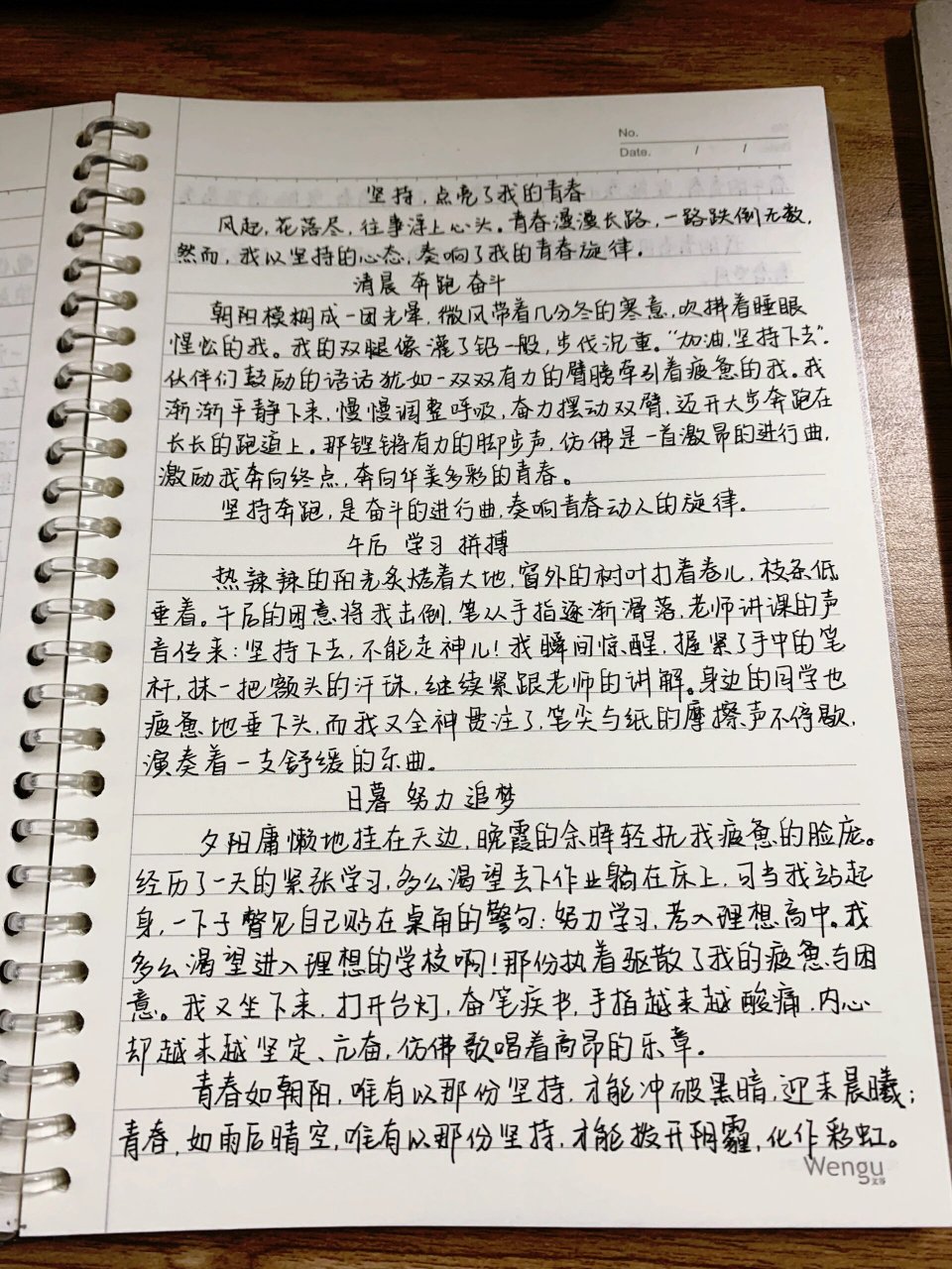 优秀作文《坚持,点亮了我的青春》