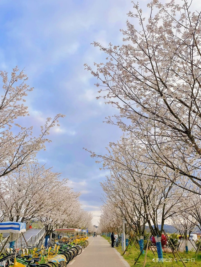 金海雪山四季花谷门票图片