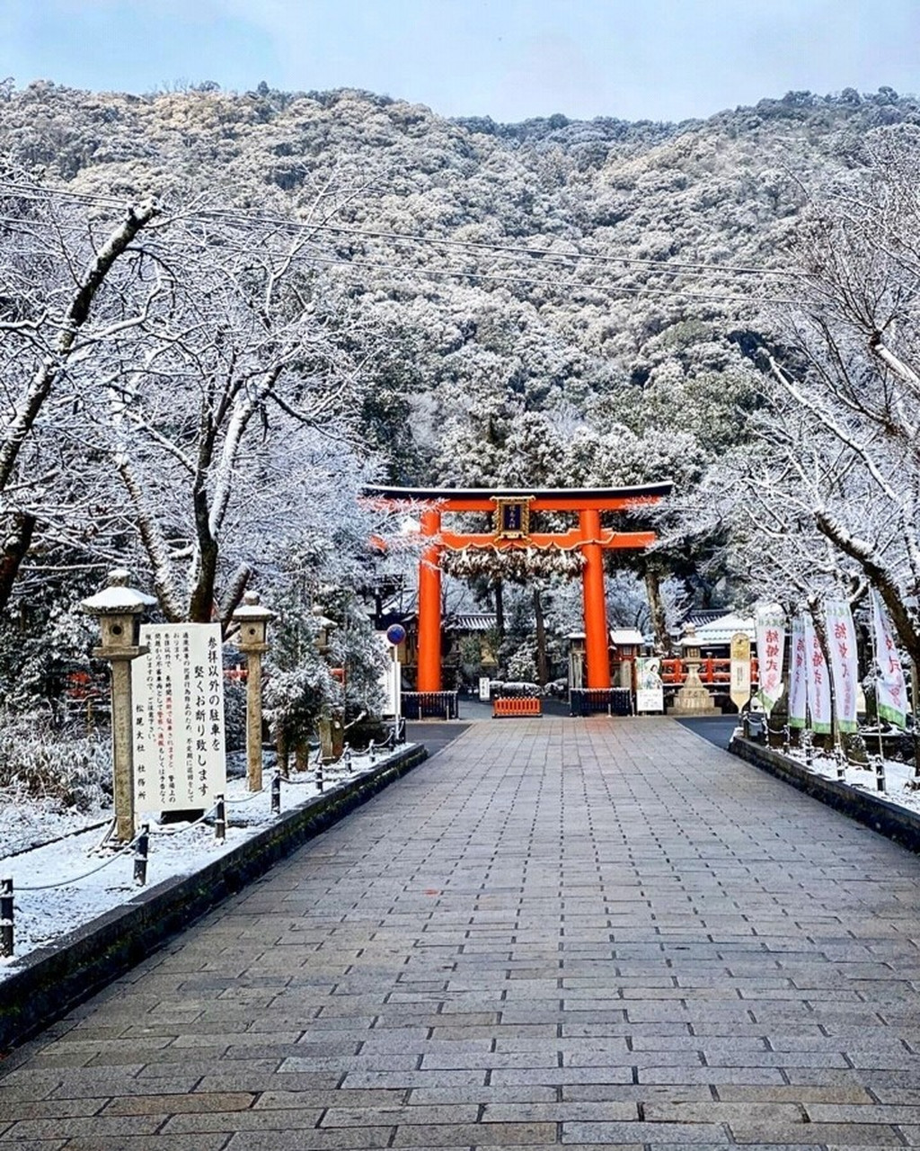 京都松尾大社,神明降临之地,日本酒神之社,美丽庭园及山吹让人心醉