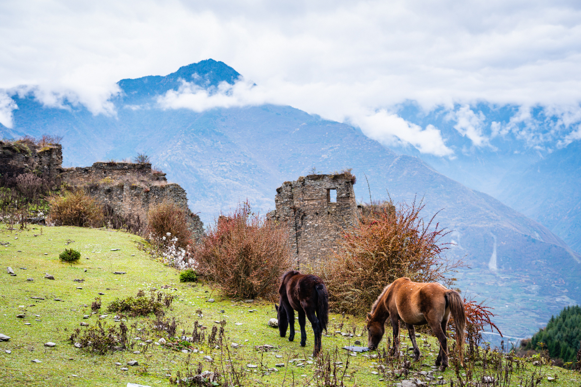 九子寨-四川的马丘比丘 九子寨位于阿坝州理县木卡乡,2600米的海拔