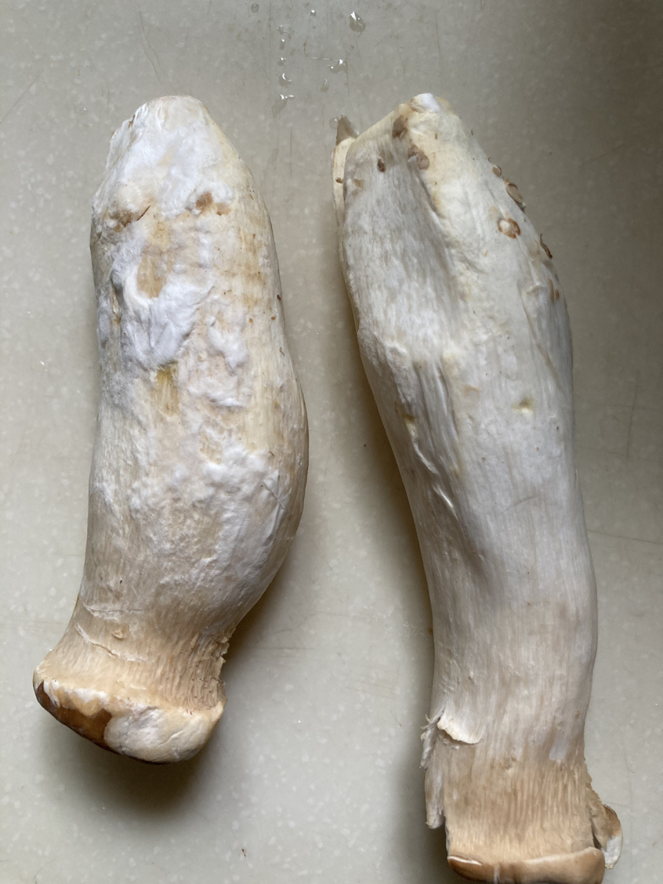 杏鲍菇涨白毛还能吃吗?