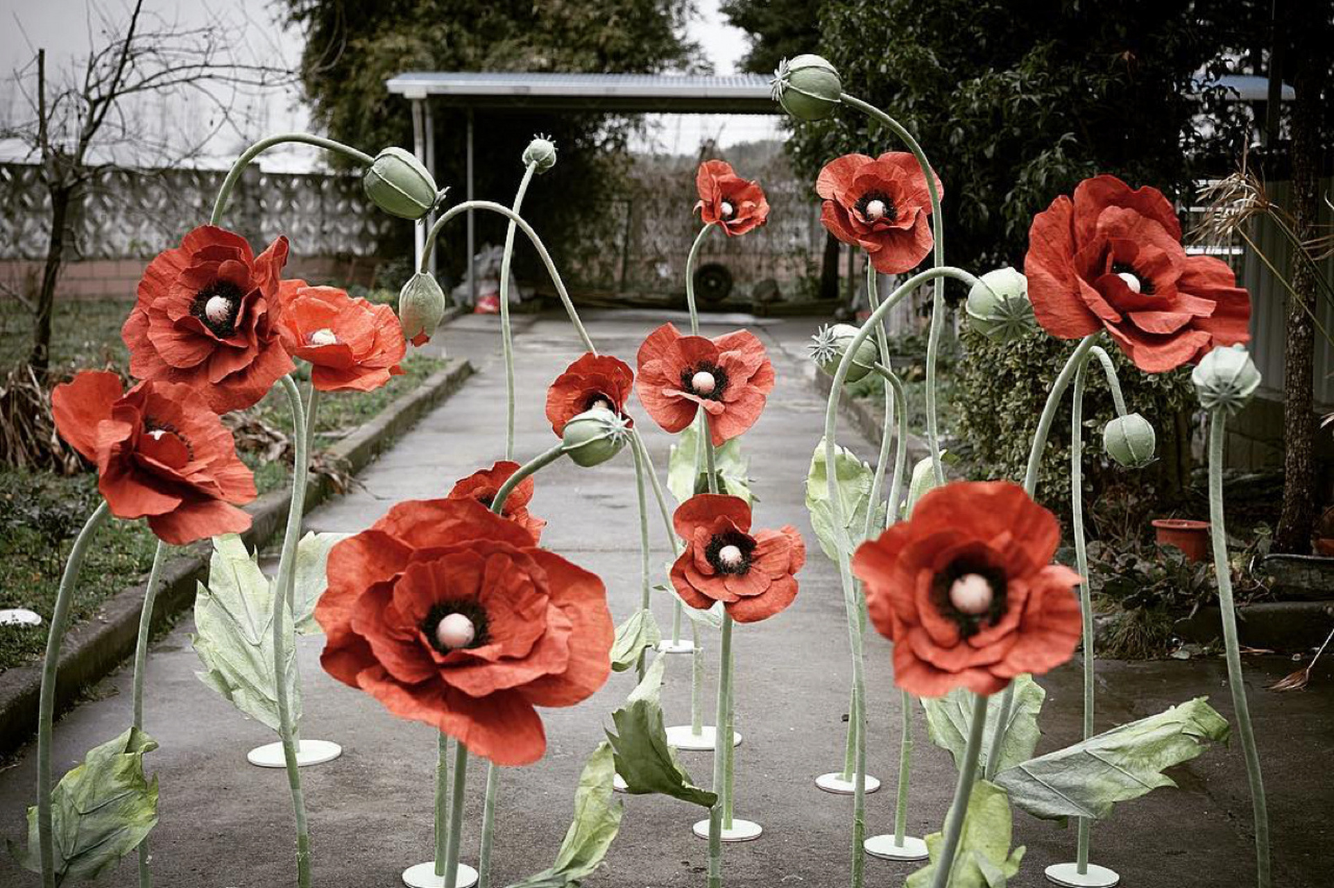 抵抗不了的纸艺罂粟花6015太漂亮太好看 #手工