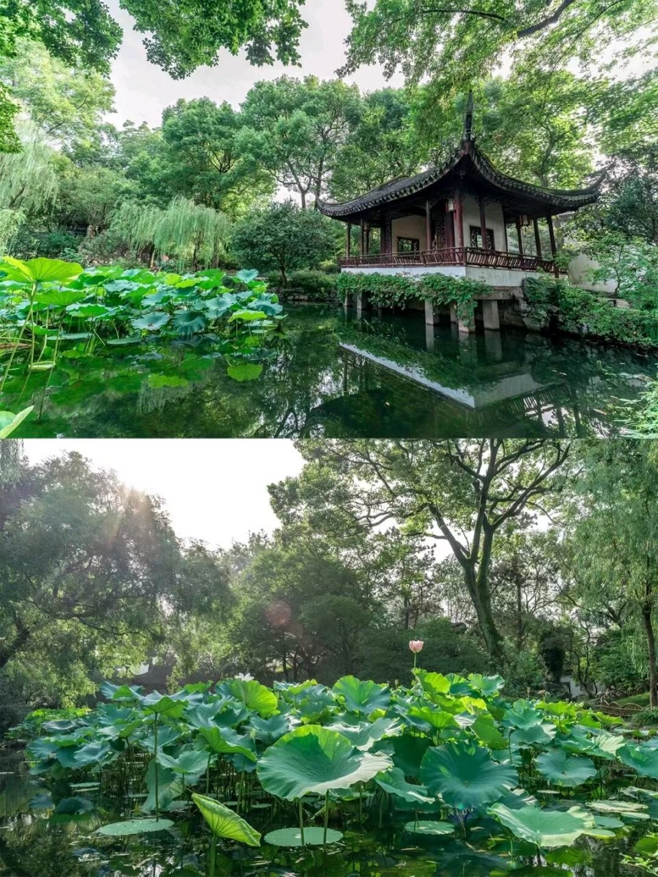 不同 99与北京颐和园,承德避暑山庄,苏州留园并称为"中国四大名园"
