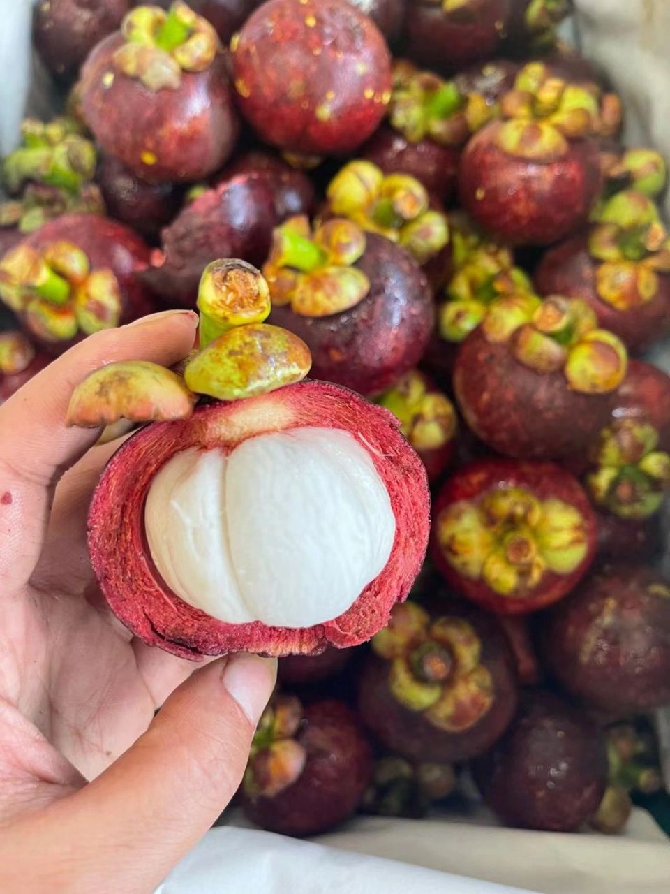 今日介绍:山竹 山竹的类型一般按外观整洁度与结果年限为依据,可以将