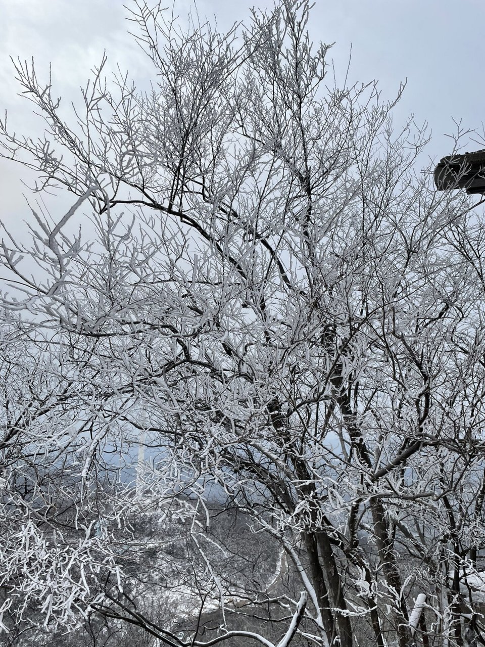 荆门圣境山雪景图片