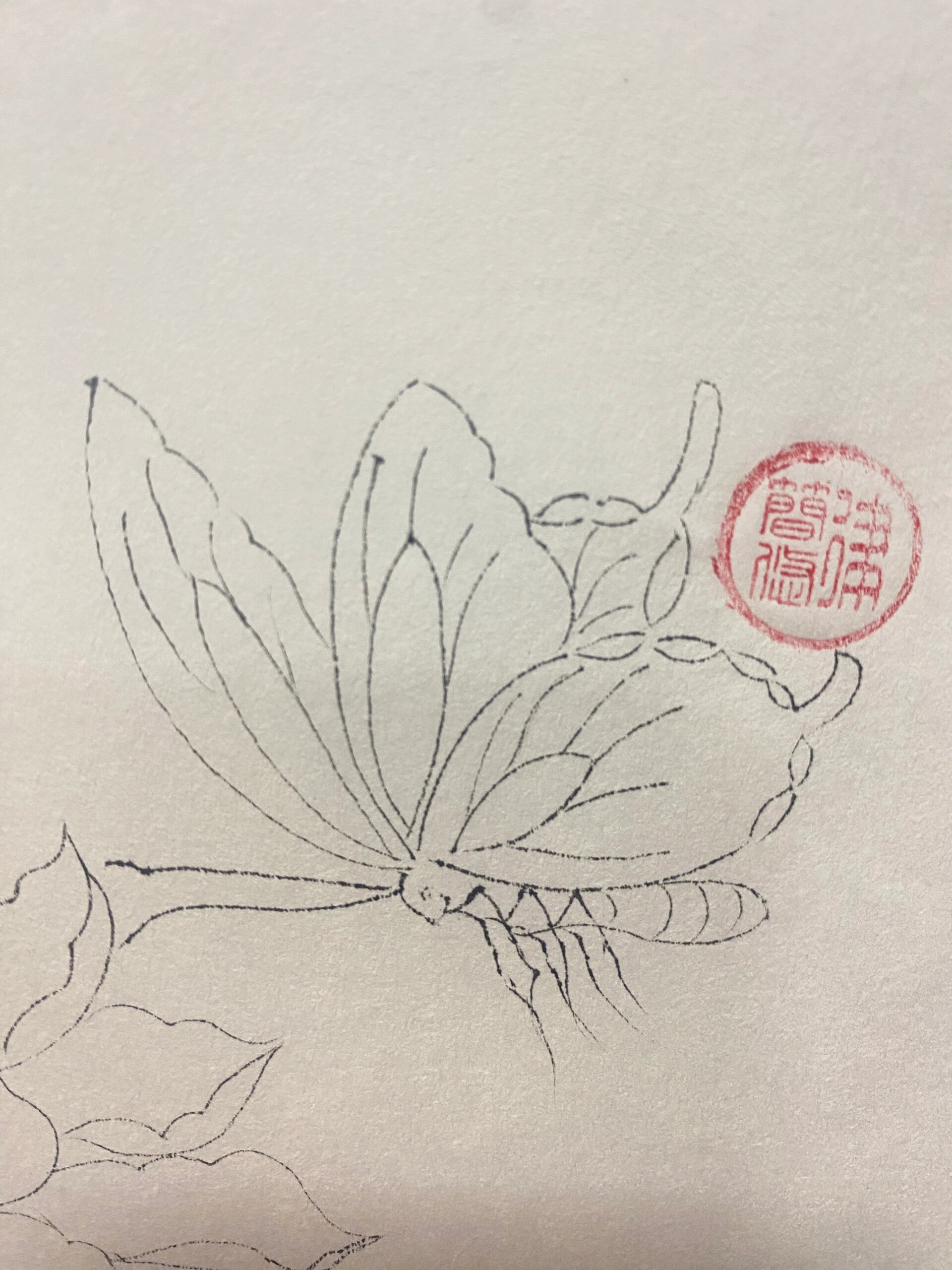 白描蝴蝶:你若盛开,蝴蝶自来