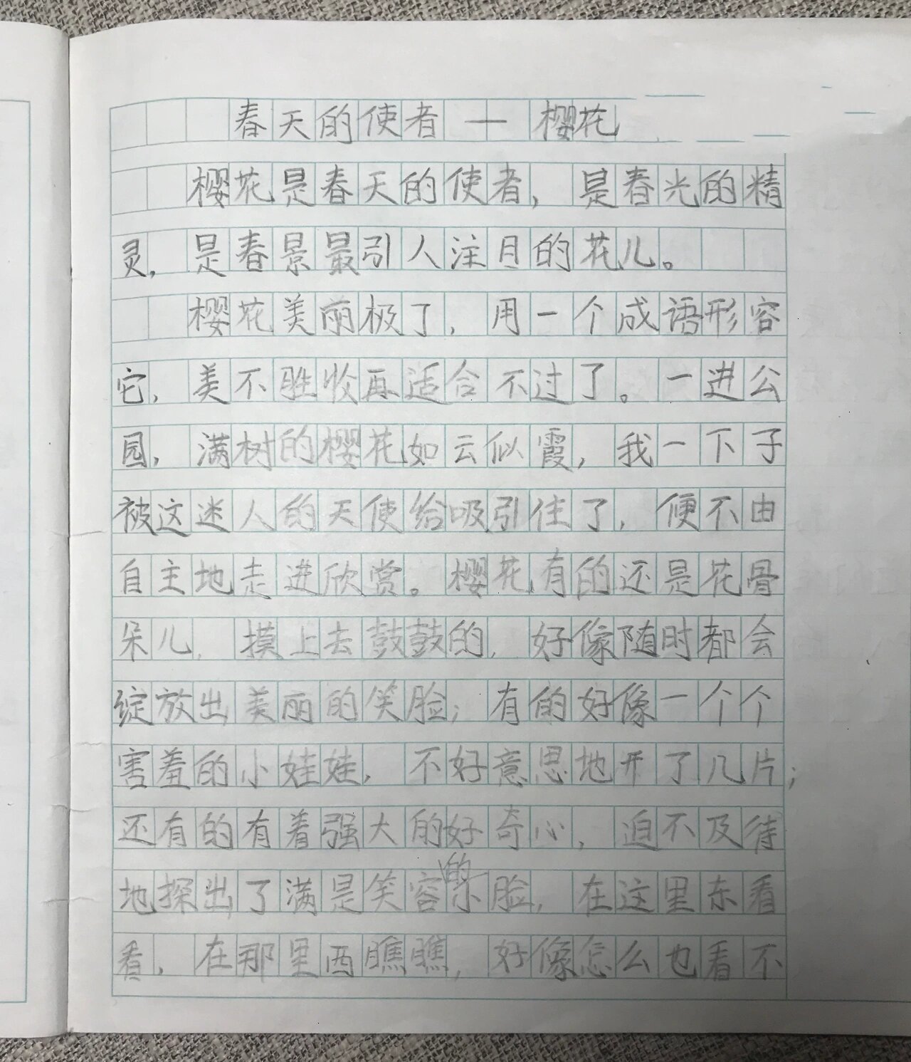 樱花作文怎么写图片