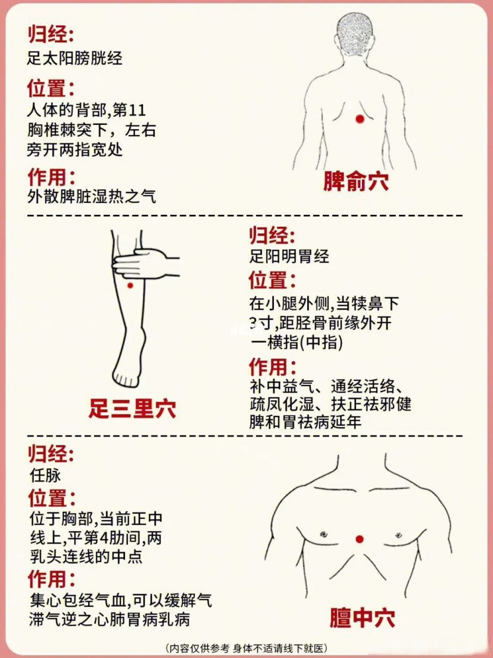 脾腧是什么位置图片图片