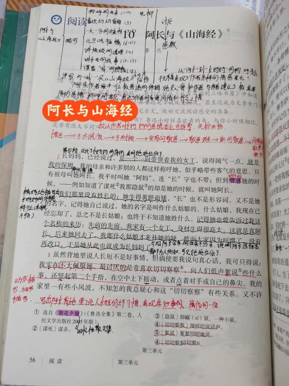 七下语文《阿长与山海经》课堂笔记 七下语文《阿长与山海经》课堂