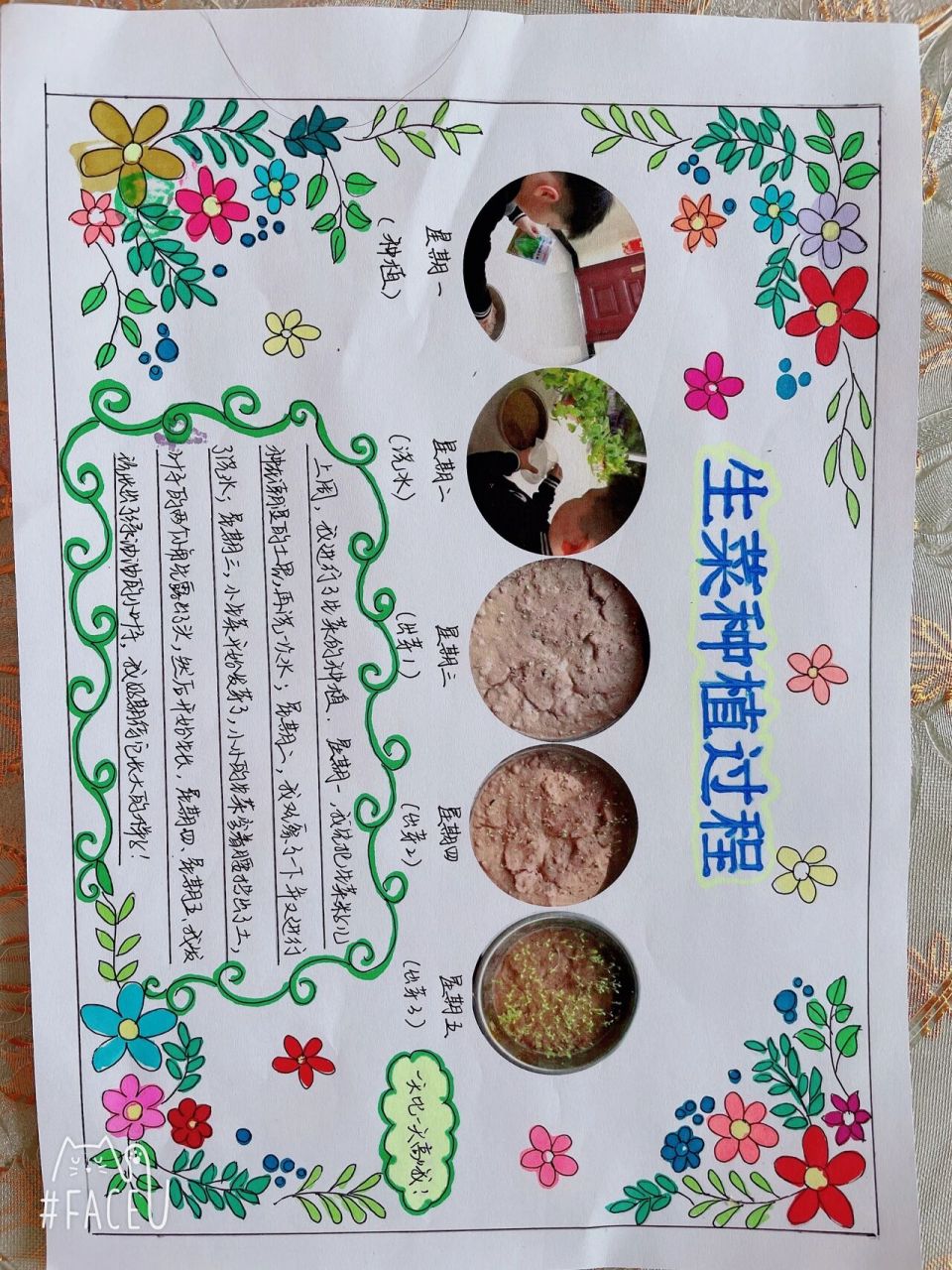 植物生长过程手抄报 植物生长手抄报