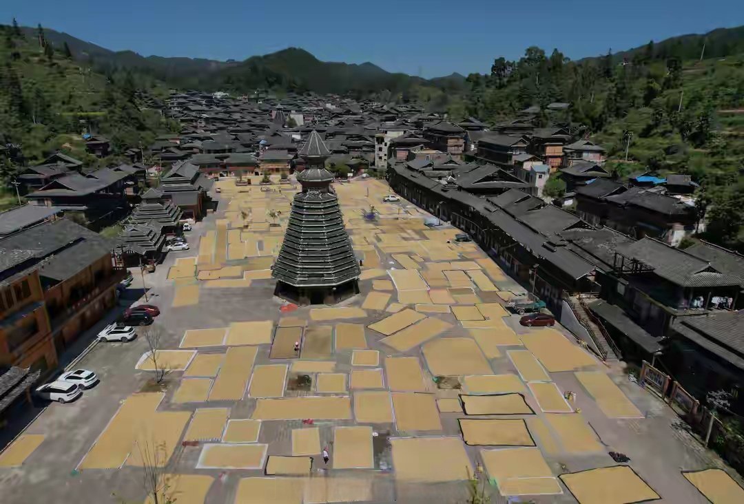 9月24日,阳光正好,秋风送爽,贵州省从江县高增乡小黄侗寨内,一幕幕