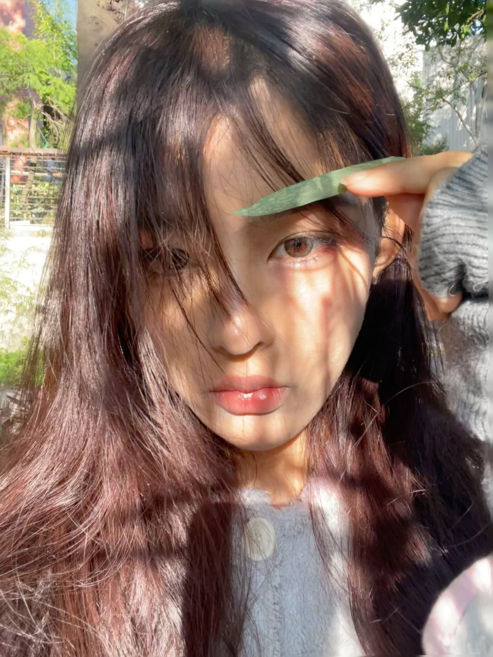 标准柳叶吊梢眉