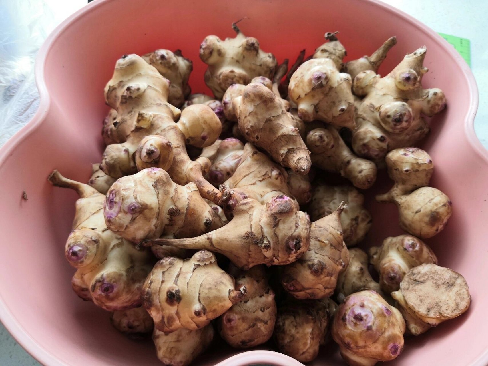 这个东西学名叫什么 我们家乡话叫洋芋头,可以腌着吃.