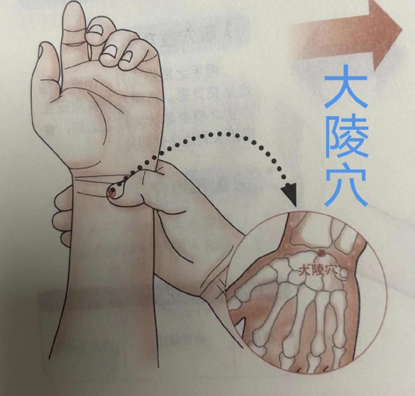 大陵穴主治功效 主治功效: 	 (1)本穴具有清心降