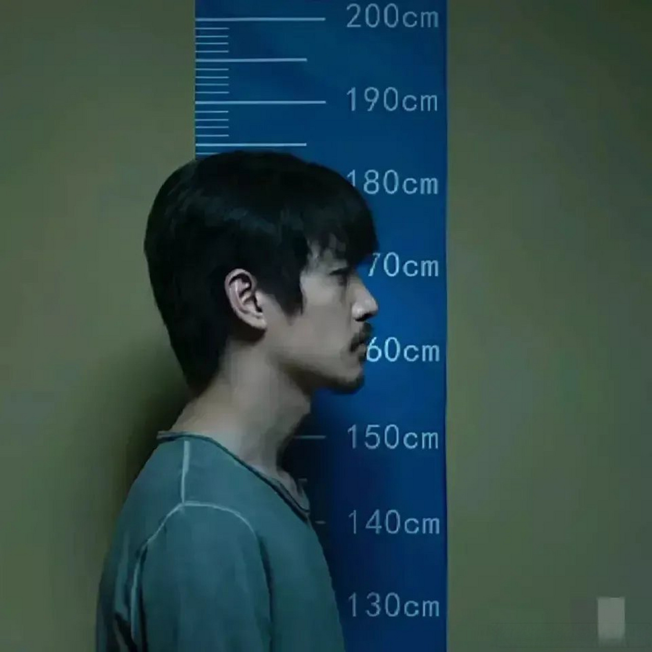 陈晓身高多少?183啊!