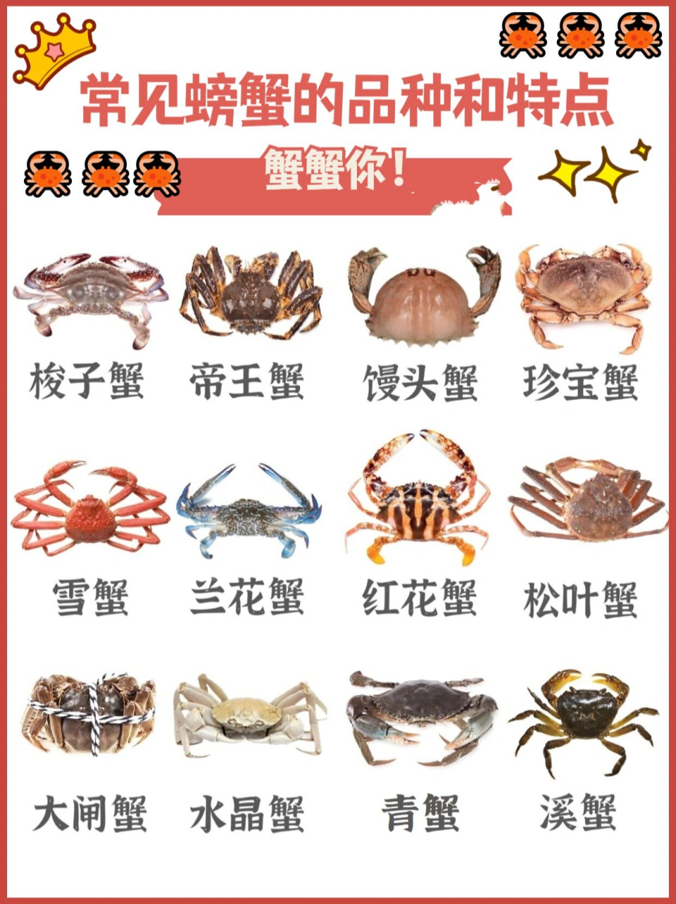 【螃蟹说明书】螃蟹的种类与特点6015附做法 说到海鲜当然少不了