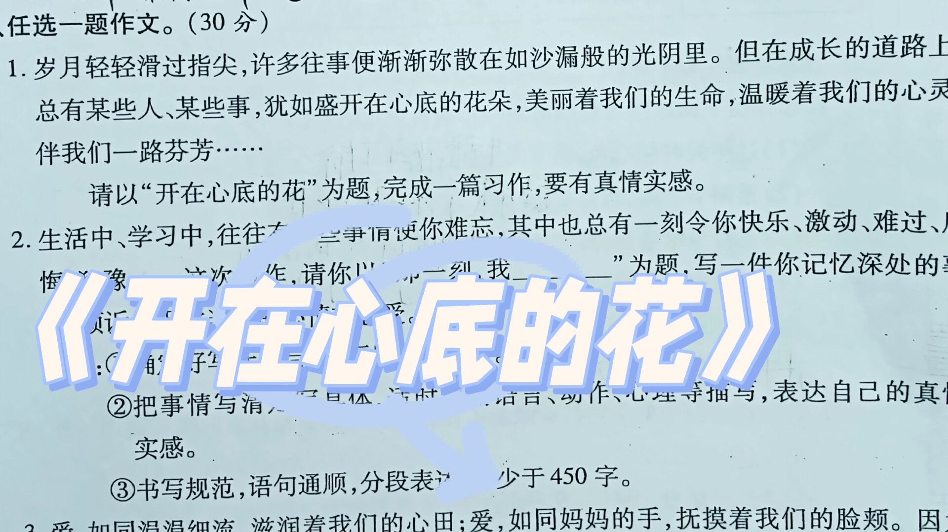 怒放的信念作文600字关于花(怒放的信念作文600字关于花记叙文)