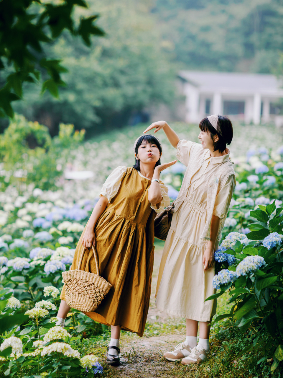 (没有一点犹豫和遗迟) 9999我们是提前在网上预约好的,门票39.