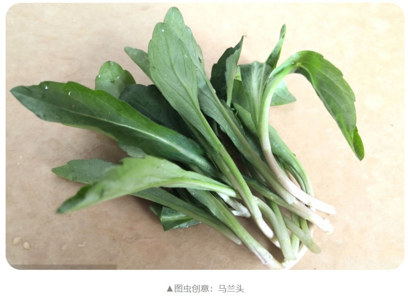 也叫马兰,马郎头,红梗菜,鸡儿菜,我也是偶尔才吃的到,味道很清香,吃