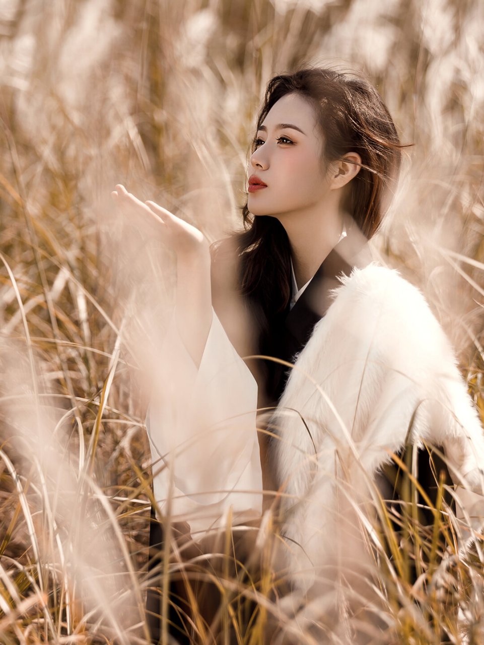 秋日暖阳下的芦苇荡,太适合拍古风写真了!