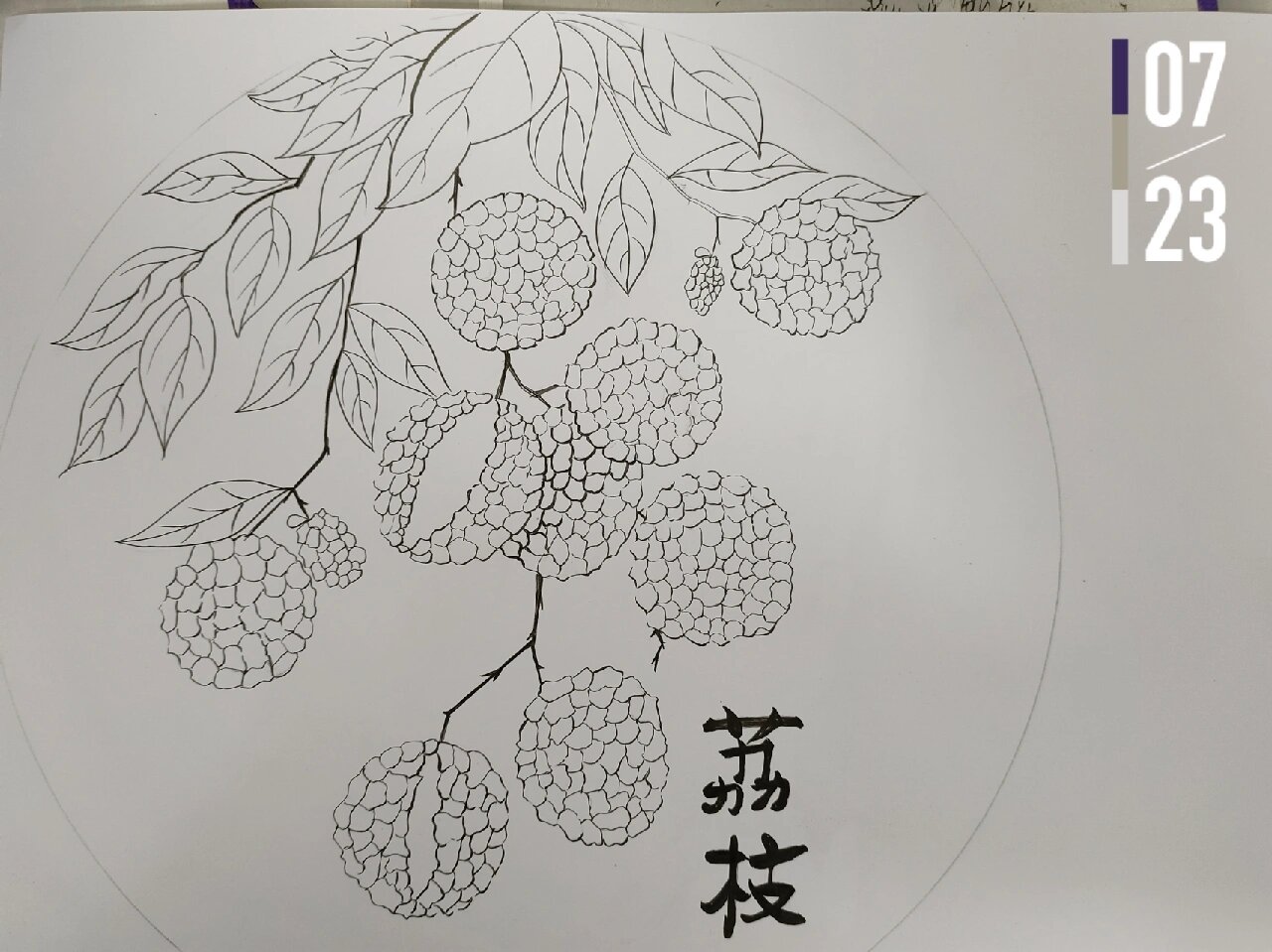 荔枝马克笔手绘