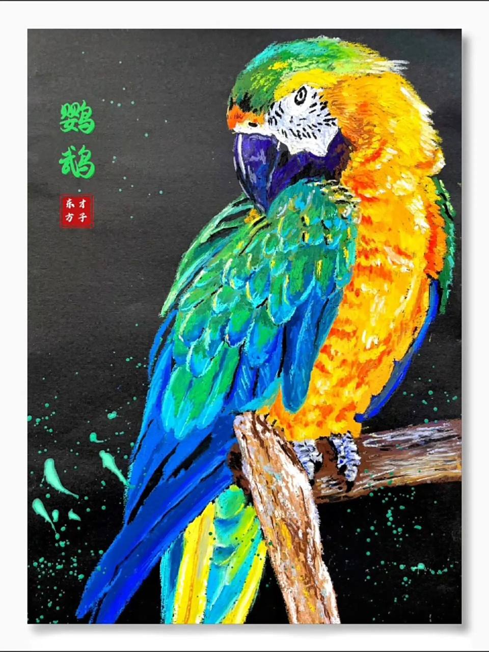 油画棒鹦鹉步骤 油画棒鹦鹉步骤,最后有学生们作品照哦