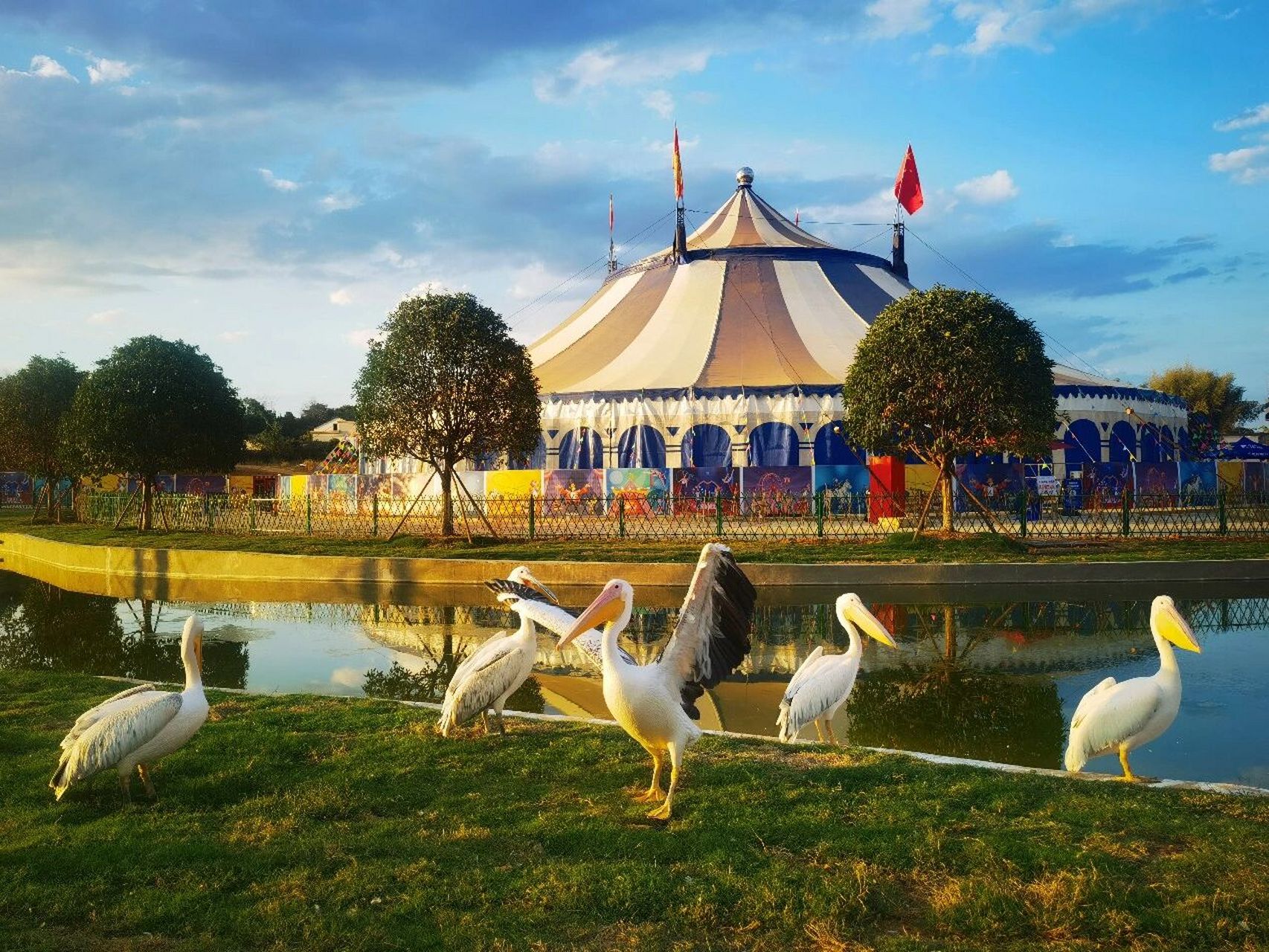 常德汉寿的宝藏野生动物园,五一不去可惜了 五一假期带孩子去哪个动物