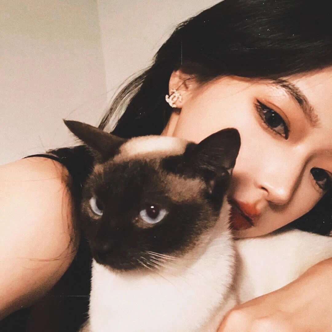 带猫猫的真人女生头像 成熟风