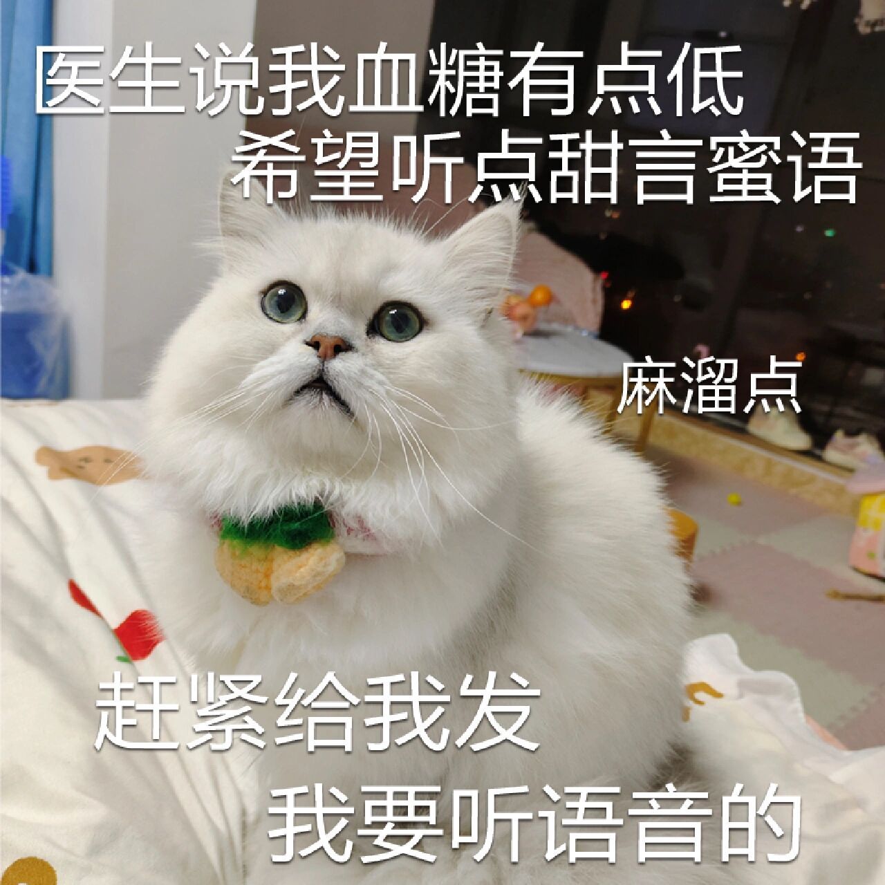 医生说我低血糖 表情包