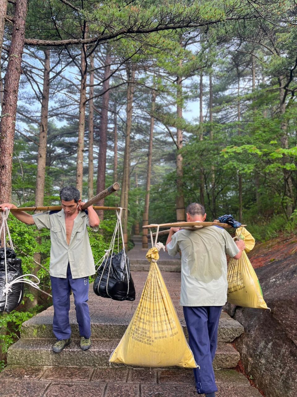 黄山挑山工 早晨七点半,他们已经工作三个小时,一程的货物即将到达