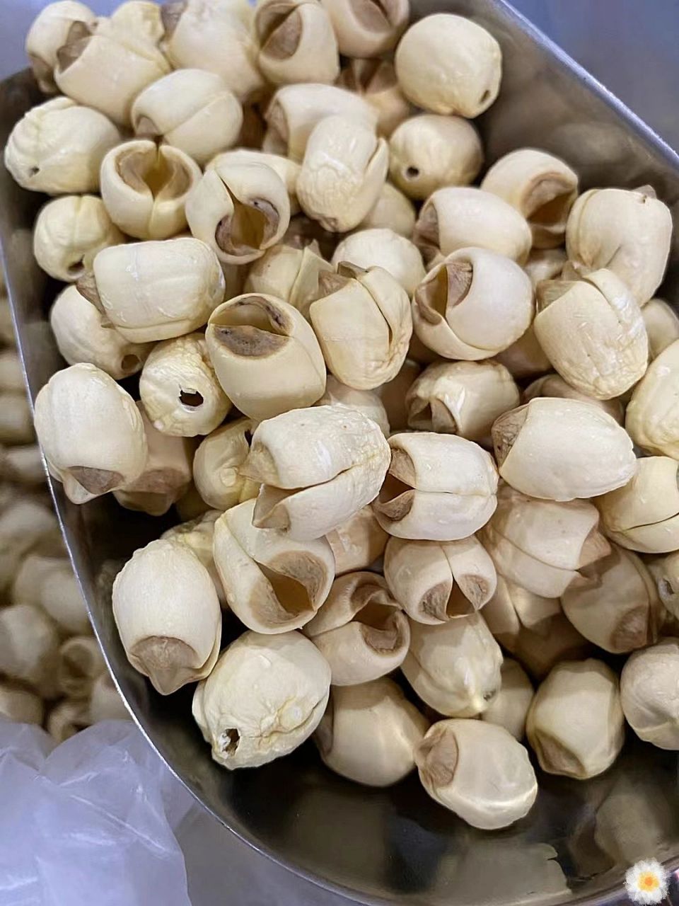 红莲子和白莲子区别 红莲子果实为红色,口感微涩较硬,不易煮烂.