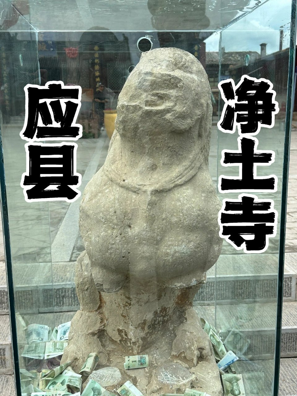 应县木塔旁净土寺的石狮,别放钱了 7815梁思成曾经说应县有三宝