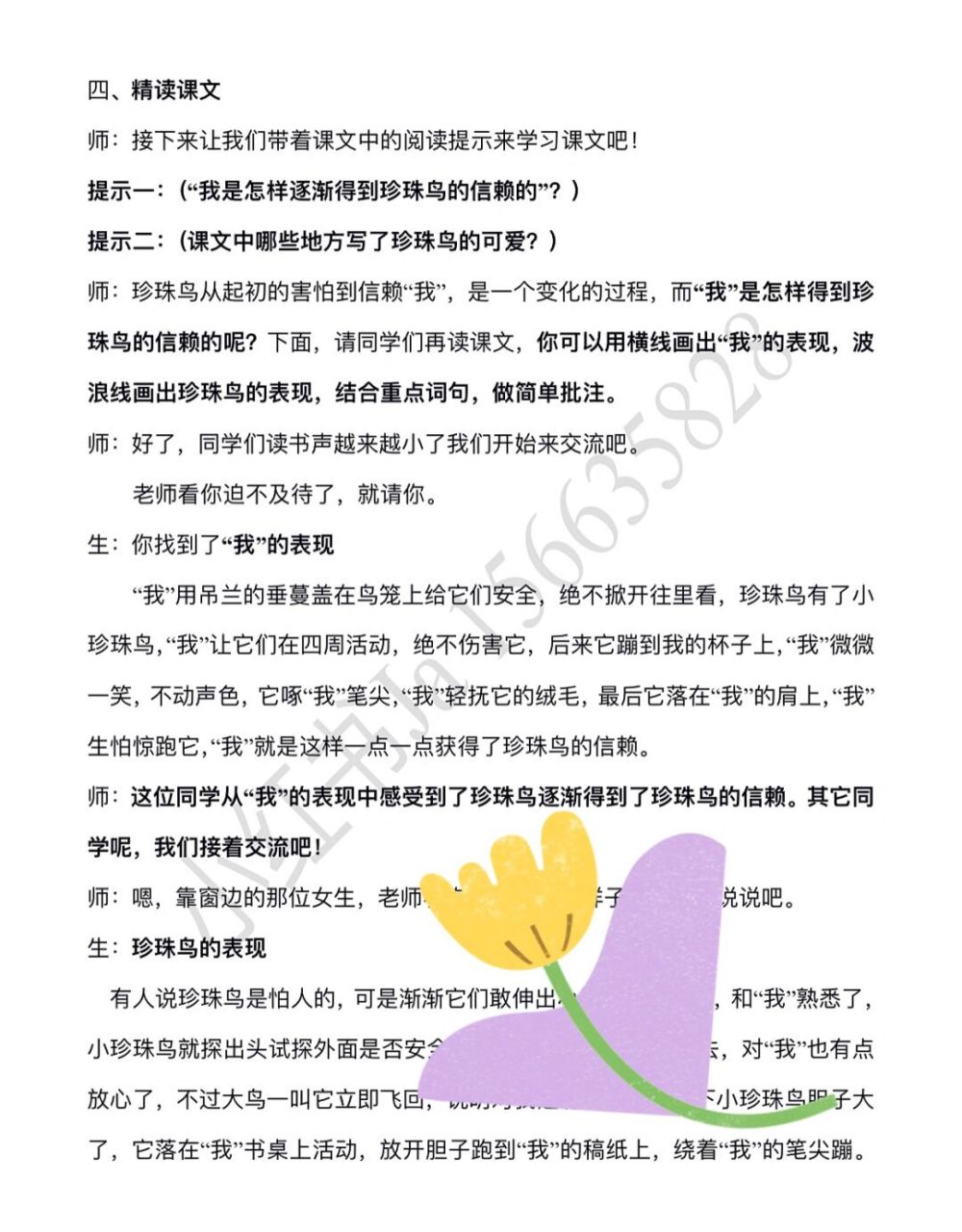 小语五上第4课*《珍珠鸟》试讲逐字稿 力求以创7115需要一键三连